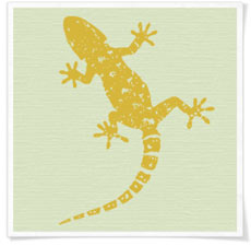 Gecko organic & fair Shirt